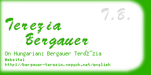 terezia bergauer business card